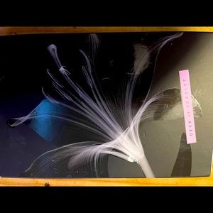 Unused make up pallets! Each of them do have different prices!